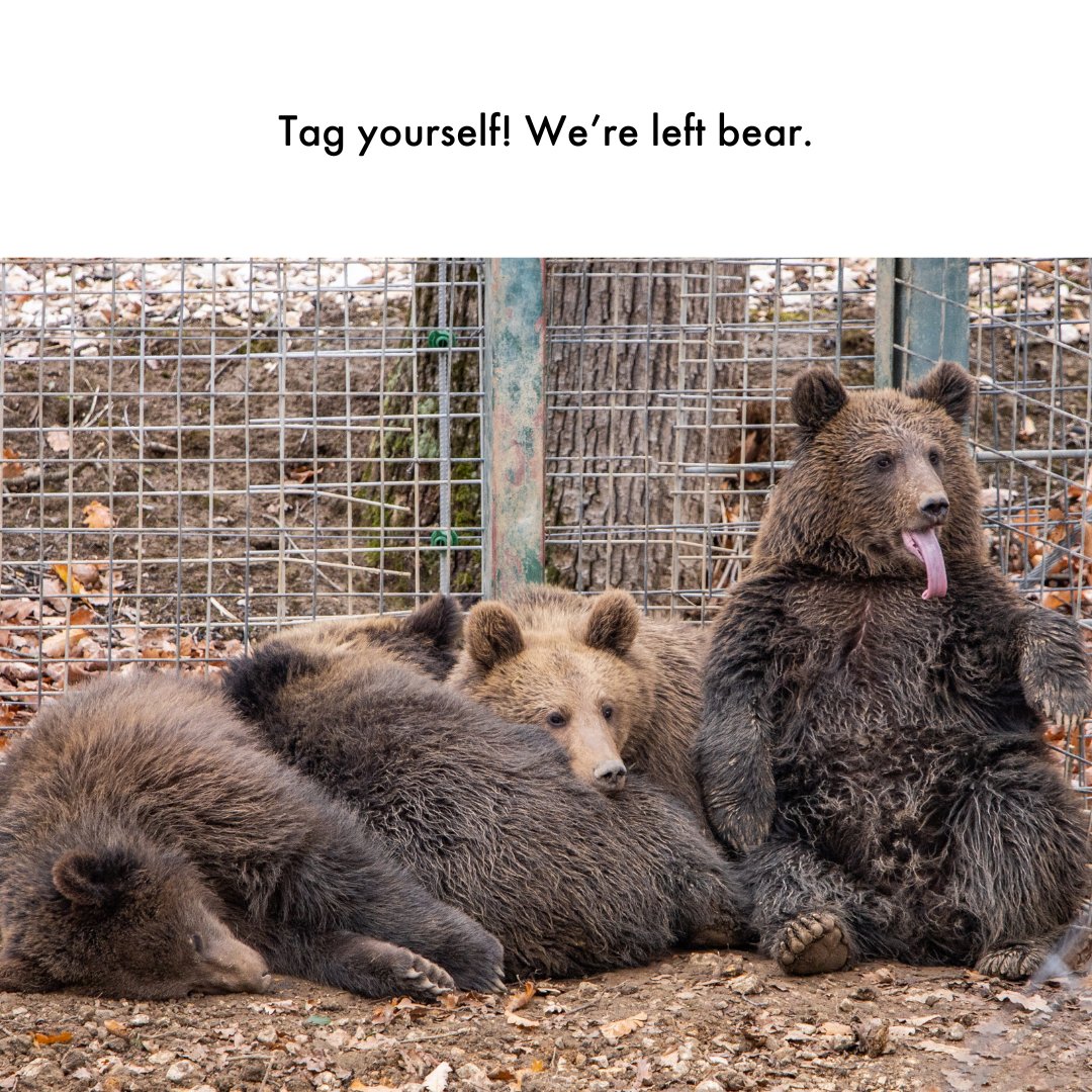 Still February? Yup. Still hibernating? Yup.