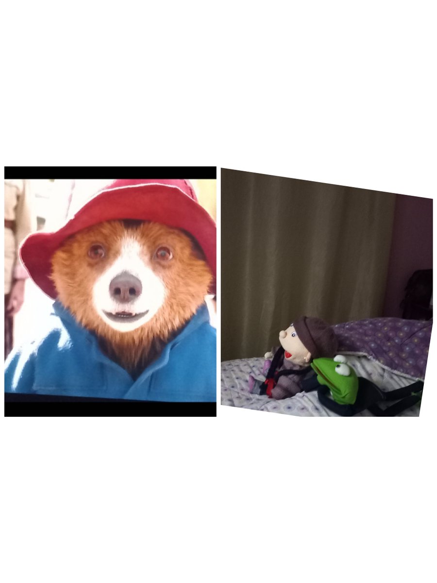 Donha_Ines's tweet photo. Sí.
Subirá  a su alpaca;con seguridad! https://t.co/Ik6mqAw3jZ
