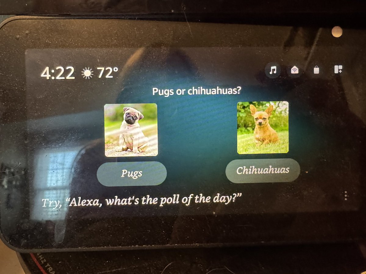 Raychul Moore tweet media