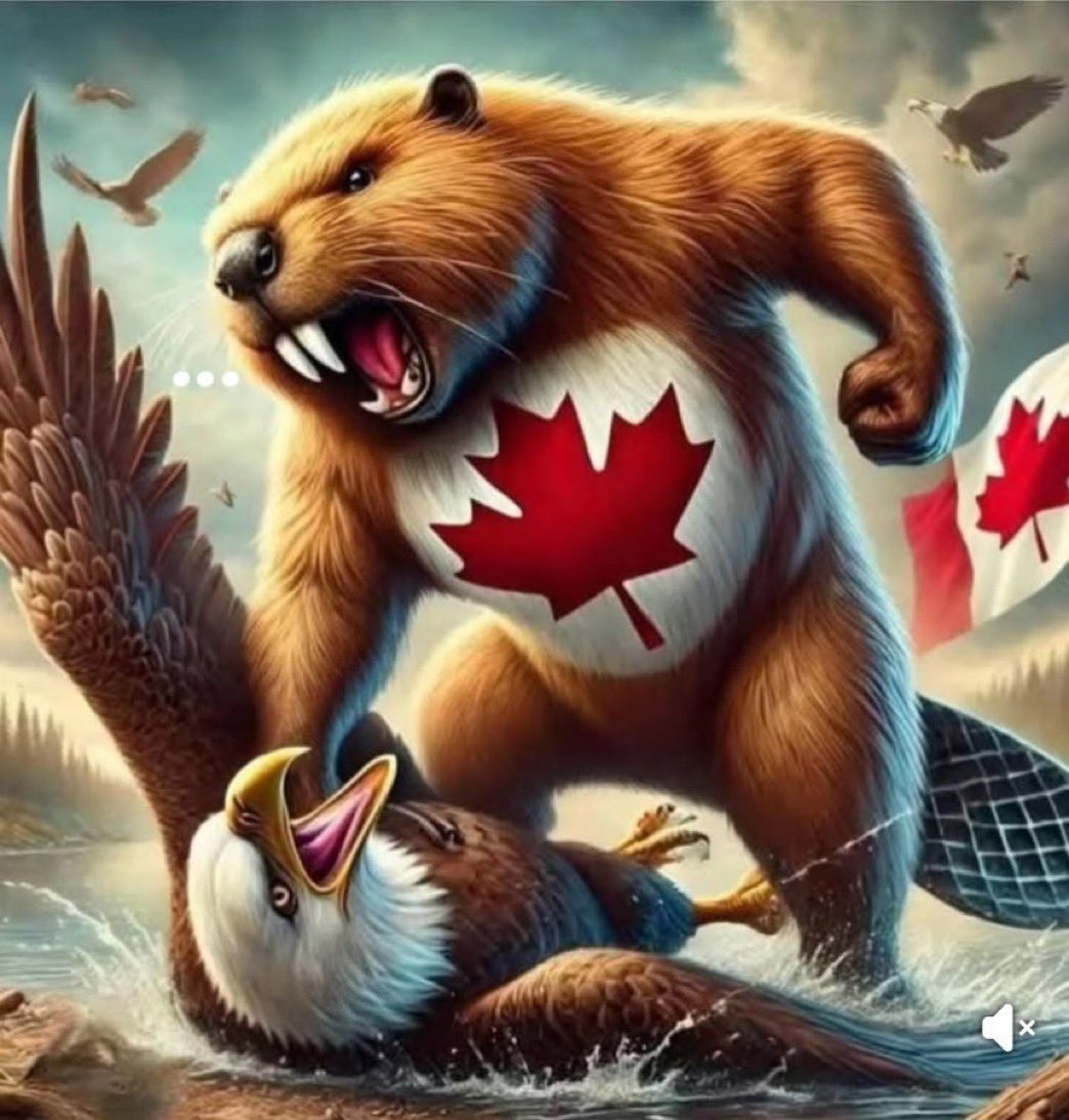 garybtvnews's tweet photo. Still feels really GREAT the day after last night’s epic Game. #CanadaWins #4Nations #USAvsCAN #CanadaStrong #Trump #Calgary #Alberta https://t.co/rafZxLTgrS