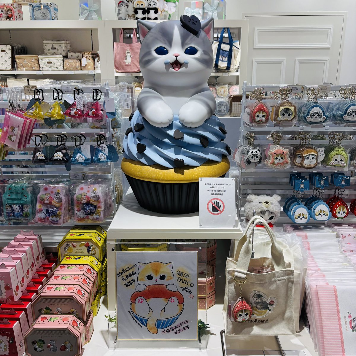 mofusandもふもふストア福岡PARCO ＼今日は🐱ねこの日🐾／ #ぢゅの