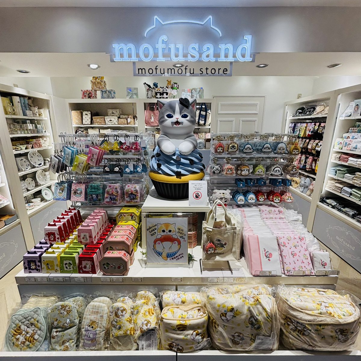 mofusandもふもふストア福岡PARCO ＼今日は🐱ねこの日🐾／ #ぢゅの
