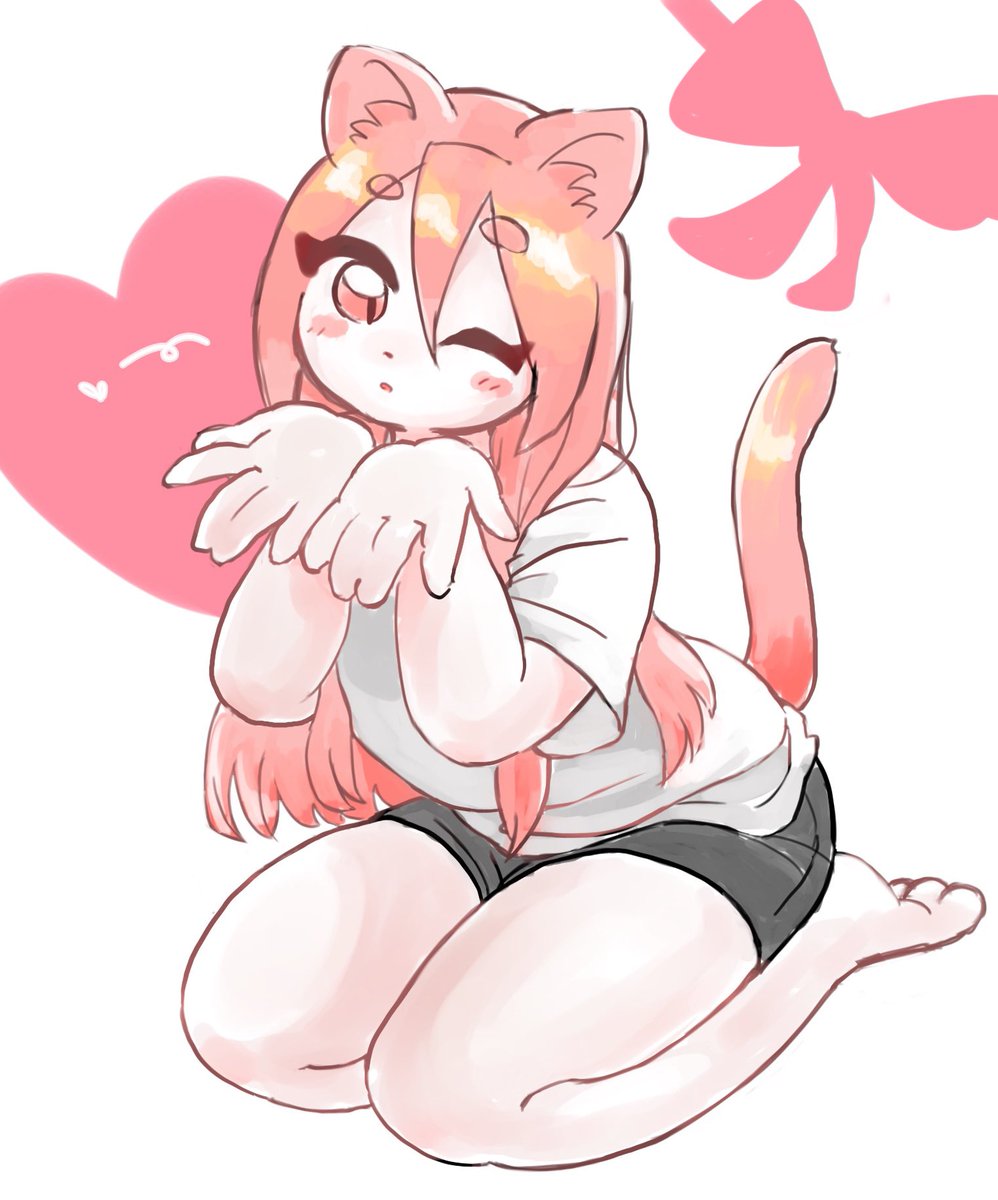 もりもり (@moriyomomo) on Twitter photo 