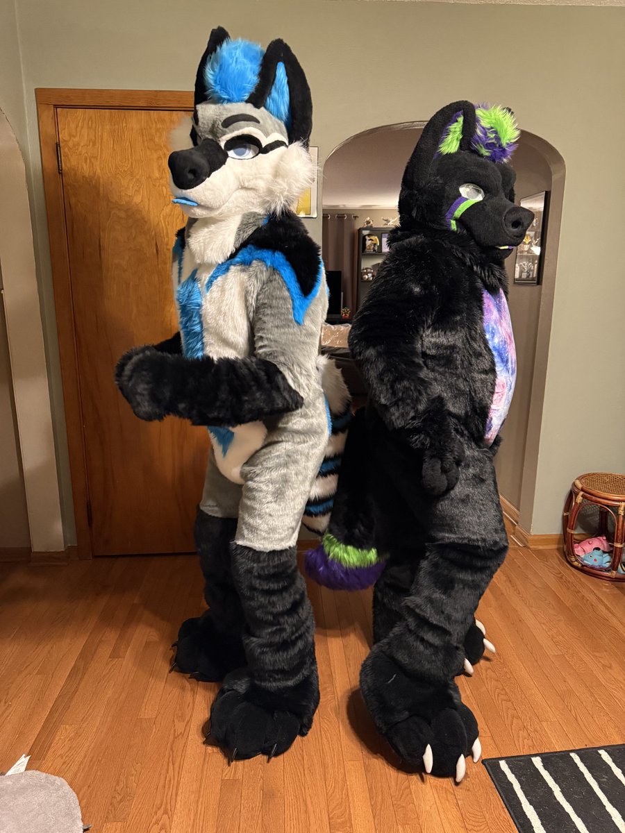 Shadow the Wusky (@shadowthewusky) on Twitter photo Full suit reveal for Fursuit Friday also how to find us <a href="/FurSquared/">RenFur² at FurSquared</a>
🐕 <a href="/badg3rbadg3r/">Zeke DaBusky</a>
📷 <a href="/puppyBaron/">pupBaron</a>
#FURRY #FursuitFriday #fur #gay #gaydog #gaypup Full suit reveal for Fursuit Friday also how to find us <a href="/FurSquared/">RenFur² at FurSquared</a>
🐕 <a href="/badg3rbadg3r/">Zeke DaBusky</a>
📷 <a href="/puppyBaron/">pupBaron</a>
#FURRY #FursuitFriday #fur #gay #gaydog #gaypup