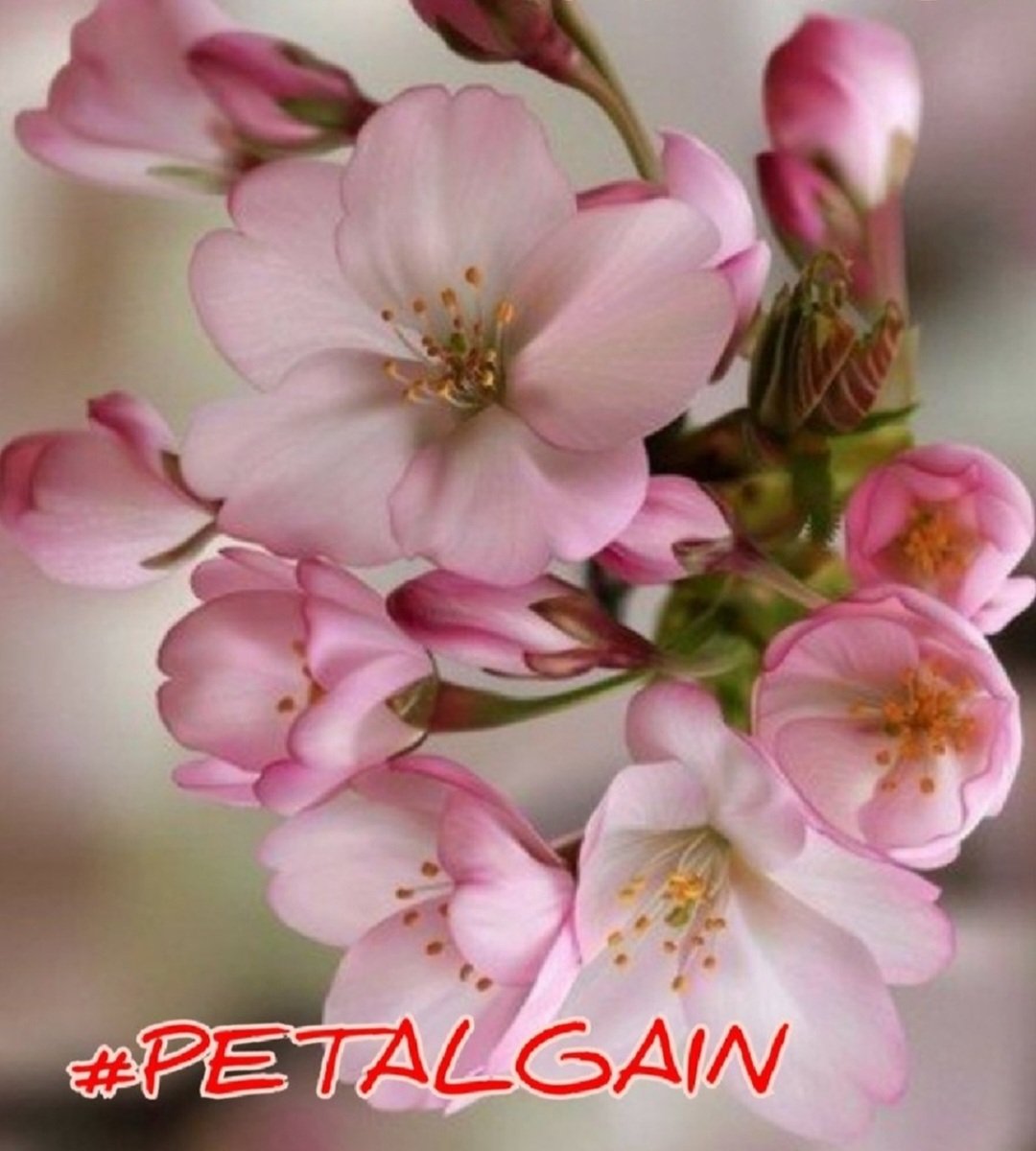 lumpie125 (@lumpie125) on Twitter photo #PETALGAIN
<a href="/swydersk/">Deb #TmPetaL🌹#Resist💙 #NeverTrump Enjoy the ride</a> <a href="/lumpie125/">lumpie125</a>
<a href="/Spencerjames211/">Spencer James #GAINWITHPETAL #TMPETAL #Teamspirit</a>
<a href="/coffee_love462/">❄️☕️Maddy - IFB☕️❄️</a>
<a href="/monicampon/">Mσηιcα</a>
<a href="/_ALESXIA/">꒰ ͜͡➸ 🔴 A̫̫L̫̫E̫̫S̫̫X̫̫I̫̫A̫̫ ꒰ ͜͡➸🔴</a>
<a href="/SOY_ALESXIA2/">🎀 ❥ SOY_ALESXIA2 ❥ 🎀</a>
<a href="/OlgaPart1/">˚₊· ͟͟͞͞➳❥💎 OLGA 💎˚₊· ͟͟͞͞➳❥</a>
<a href="/MoniT__/">🅼🅾🅽🅸🅲🅰</a>
<a href="/MARTHA_CAN2/">MARTHA 👑</a>
<a href="/LauraM24960/">LAURA 👑</a>
<a href="/MirnaVernal/">👑 MIRNA 🛍🛍</a>
<a href="/mgor2021/">🆁🅾🅱🅴🆁🆁🅾🆄🅰</a>
<a href="/NlHILIST/">🎩LORD NIHILIST♪ IFB ALL: UNFOLLOW=BLOCK</a> <a href="/_Fiel_Seguidor/">ƒiєℓ sєgυi∂σr 🇮🇱</a>
@ME_TRC
<a href="/MARTHAMUSSY/">⚘MARTHA MUSSY ⚘</a>
<a href="/GRAHAM15583/">🅶🆁🅰🅷🅰🅼</a>
<a href="/CLARABENZA/">👠🛍️ CLARA 🛍️👠</a>
<a href="/nuvisionquestt3/">🦅NU_VISION_QUEST_TYPE3🏹</a>
<a href="/Siogo61/">@siogo61</a> <a href="/bluea125/">BlueA125</a> #PETALGAIN
<a href="/swydersk/">Deb #TmPetaL🌹#Resist💙 #NeverTrump Enjoy the ride</a> <a href="/lumpie125/">lumpie125</a>
<a href="/Spencerjames211/">Spencer James #GAINWITHPETAL #TMPETAL #Teamspirit</a>
<a href="/coffee_love462/">❄️☕️Maddy - IFB☕️❄️</a>
<a href="/monicampon/">Mσηιcα</a>
<a href="/_ALESXIA/">꒰ ͜͡➸ 🔴 A̫̫L̫̫E̫̫S̫̫X̫̫I̫̫A̫̫ ꒰ ͜͡➸🔴</a>
<a href="/SOY_ALESXIA2/">🎀 ❥ SOY_ALESXIA2 ❥ 🎀</a>
<a href="/OlgaPart1/">˚₊· ͟͟͞͞➳❥💎 OLGA 💎˚₊· ͟͟͞͞➳❥</a>
<a href="/MoniT__/">🅼🅾🅽🅸🅲🅰</a>
<a href="/MARTHA_CAN2/">MARTHA 👑</a>
<a href="/LauraM24960/">LAURA 👑</a>
<a href="/MirnaVernal/">👑 MIRNA 🛍🛍</a>
<a href="/mgor2021/">🆁🅾🅱🅴🆁🆁🅾🆄🅰</a>
<a href="/NlHILIST/">🎩LORD NIHILIST♪ IFB ALL: UNFOLLOW=BLOCK</a> <a href="/_Fiel_Seguidor/">ƒiєℓ sєgυi∂σr 🇮🇱</a>
@ME_TRC
<a href="/MARTHAMUSSY/">⚘MARTHA MUSSY ⚘</a>
<a href="/GRAHAM15583/">🅶🆁🅰🅷🅰🅼</a>
<a href="/CLARABENZA/">👠🛍️ CLARA 🛍️👠</a>
<a href="/nuvisionquestt3/">🦅NU_VISION_QUEST_TYPE3🏹</a>
<a href="/Siogo61/">@siogo61</a> <a href="/bluea125/">BlueA125</a>