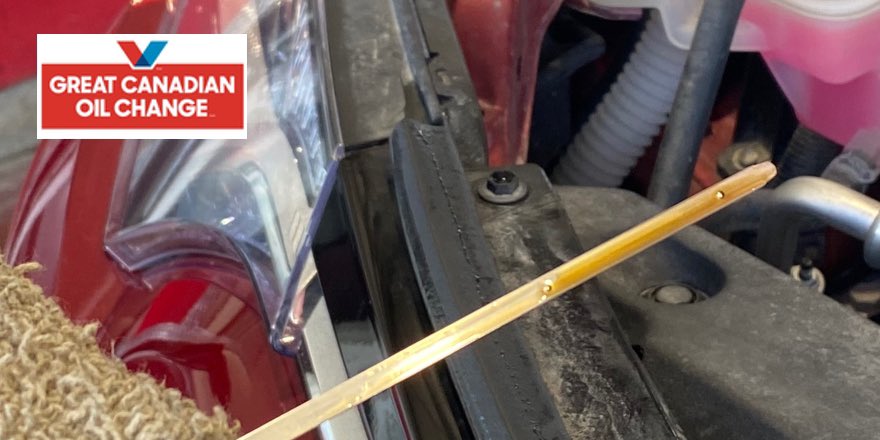 TREAT YOUR VEHICLE TO SOME FRESH CLEAN OIL!

See you down the road! 🚗 
QUICK. TRUSTED. EXPERT CARE.
No appointment needed.
gcoc.ca/locations/mani…

#bestoilchange #gcocsteinbach #oilchangesteinbach