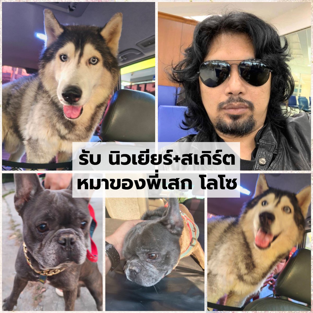 PetTaxiTH's tweet photo. เช็ครีวิวจากลูกค้า: https://t.co/ATpcO5sLWJ

#เราดูแลสัตว์เลี้ยงของคุณเหมือนของเรา
Tel: 0815674677   Line: @PetTaxi 
Line : https://t.co/24jC0vbNxy

#PetTaxi #รถรับส่งสัตว์เลี้ยง #ส่งสัตว์เลี้ยง #รับส่งหมา #ส่งสัตว์เลี้ยงทางเครื่องบิน #รับส่งแมว #คาร์โก้นกแอร์ #พาหมาไปหาหมอ https://t.co/ftr3GTWMeJ