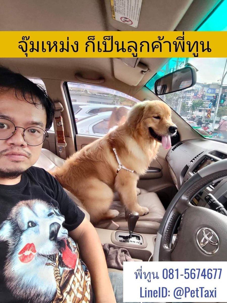 PetTaxiTH's tweet photo. เช็ครีวิวจากลูกค้า: https://t.co/ATpcO5sLWJ

#เราดูแลสัตว์เลี้ยงของคุณเหมือนของเรา
Tel: 0815674677   Line: @PetTaxi 
Line : https://t.co/24jC0vbNxy

#PetTaxi #รถรับส่งสัตว์เลี้ยง #ส่งสัตว์เลี้ยง #รับส่งหมา #ส่งสัตว์เลี้ยงทางเครื่องบิน #รับส่งแมว #คาร์โก้นกแอร์ #พาหมาไปหาหมอ https://t.co/ftr3GTWMeJ