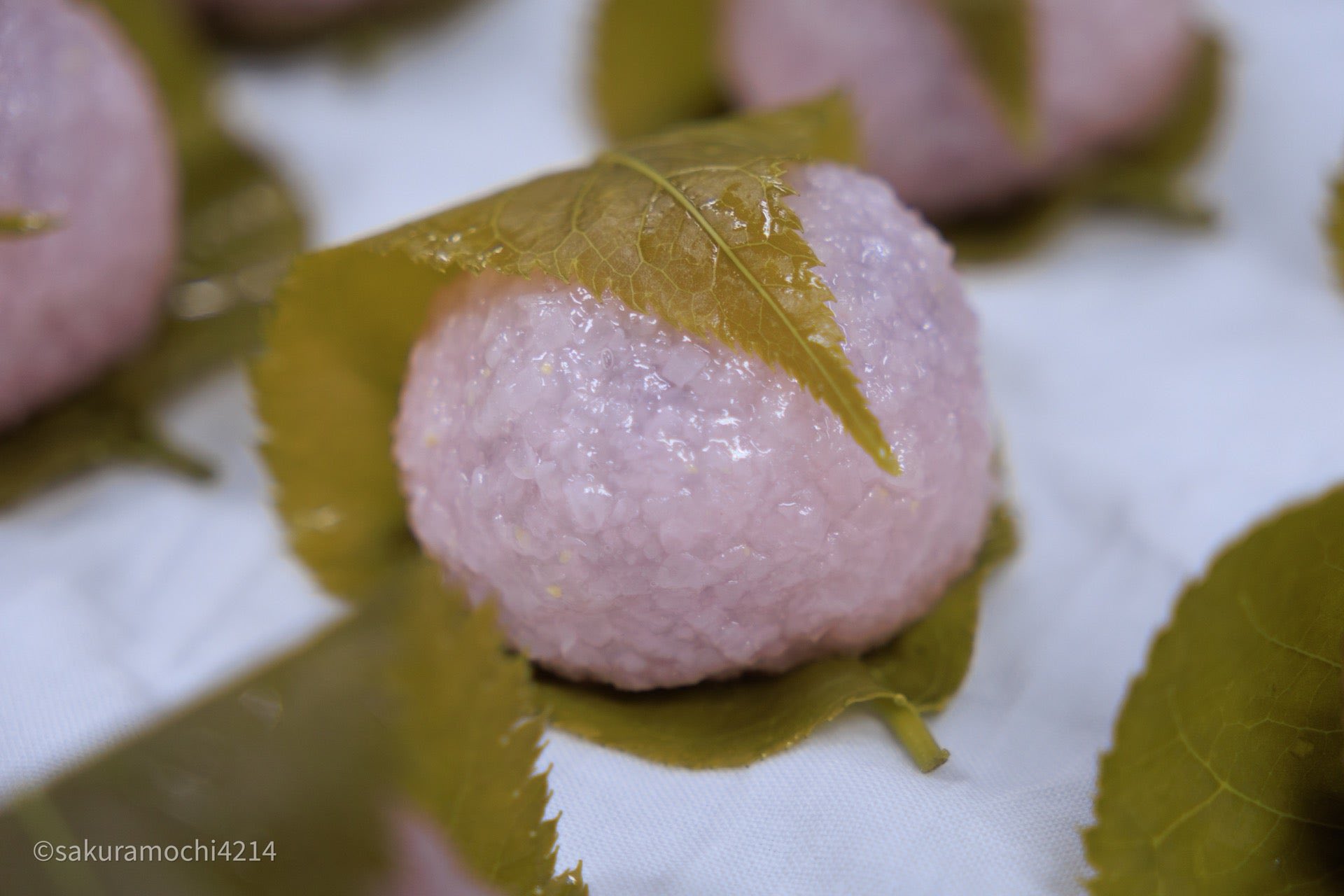 サクラモチ on X: 