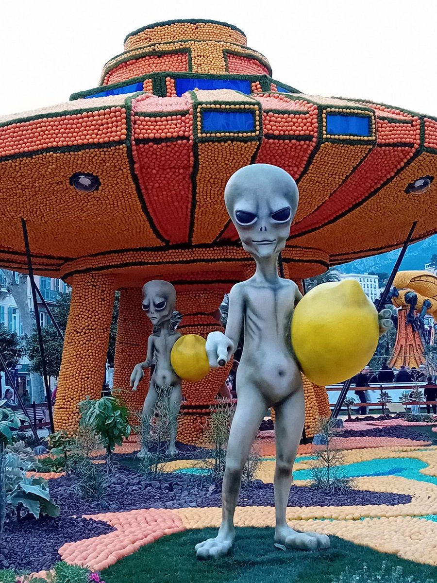 brainonfire1580's tweet image. #Menton ready for Mars ? @elonmusk 
#lemonfestival #feteducitron