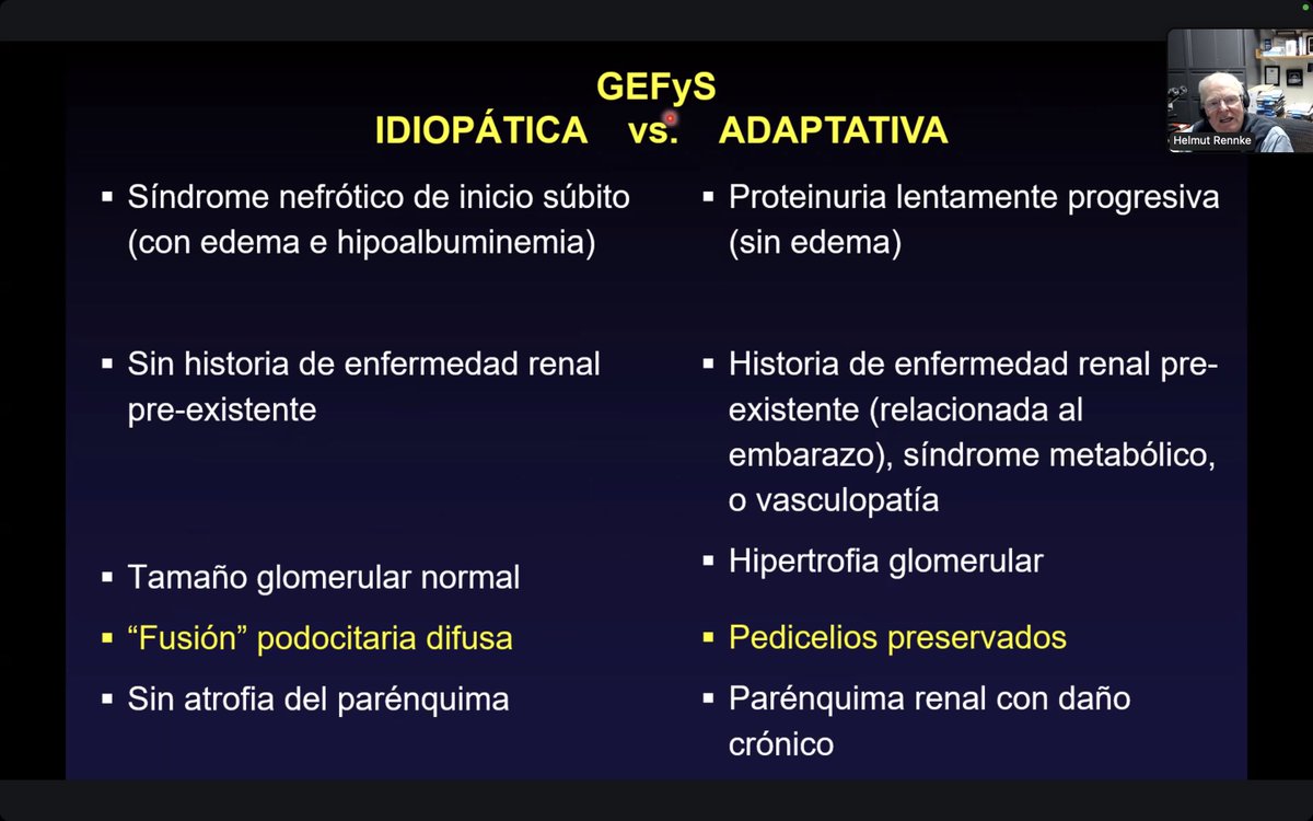 El maestro Helmut Rennke compartiendo con l@s alumn@s del Certificado de Alta Especialidad en Patología Renal (CEPR) su expertise en podocitopatías 🐙🐙

Un gran honor contar con su participación!

#CEPR #GlomConILA #GlomConAmor #MeGusta