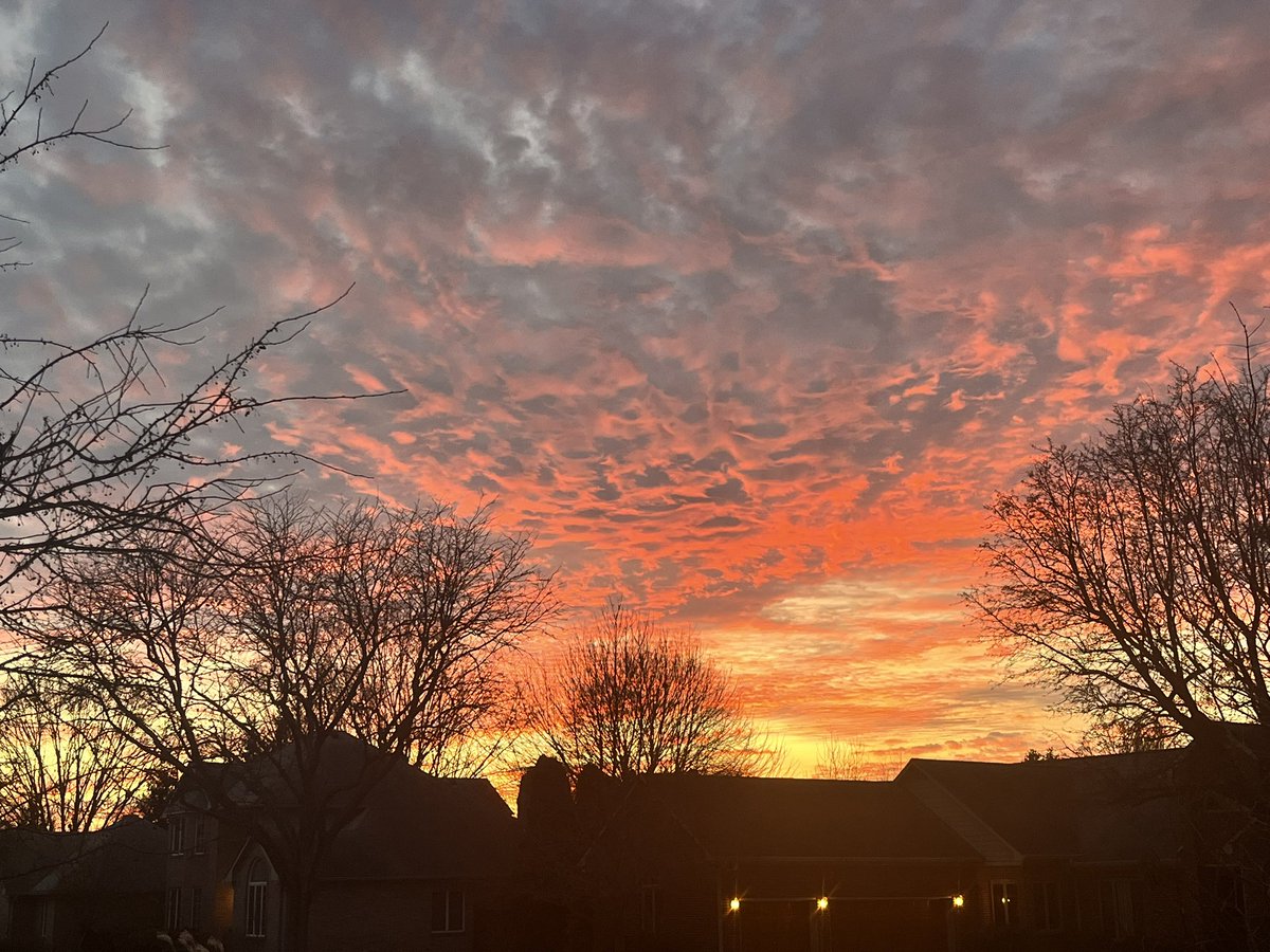 CR7Dilly's tweet image. Beauty all around us #BodegaBay