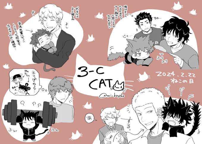 猫の日!
去年描いた3-Cネコチャンず再掲しとくね 
