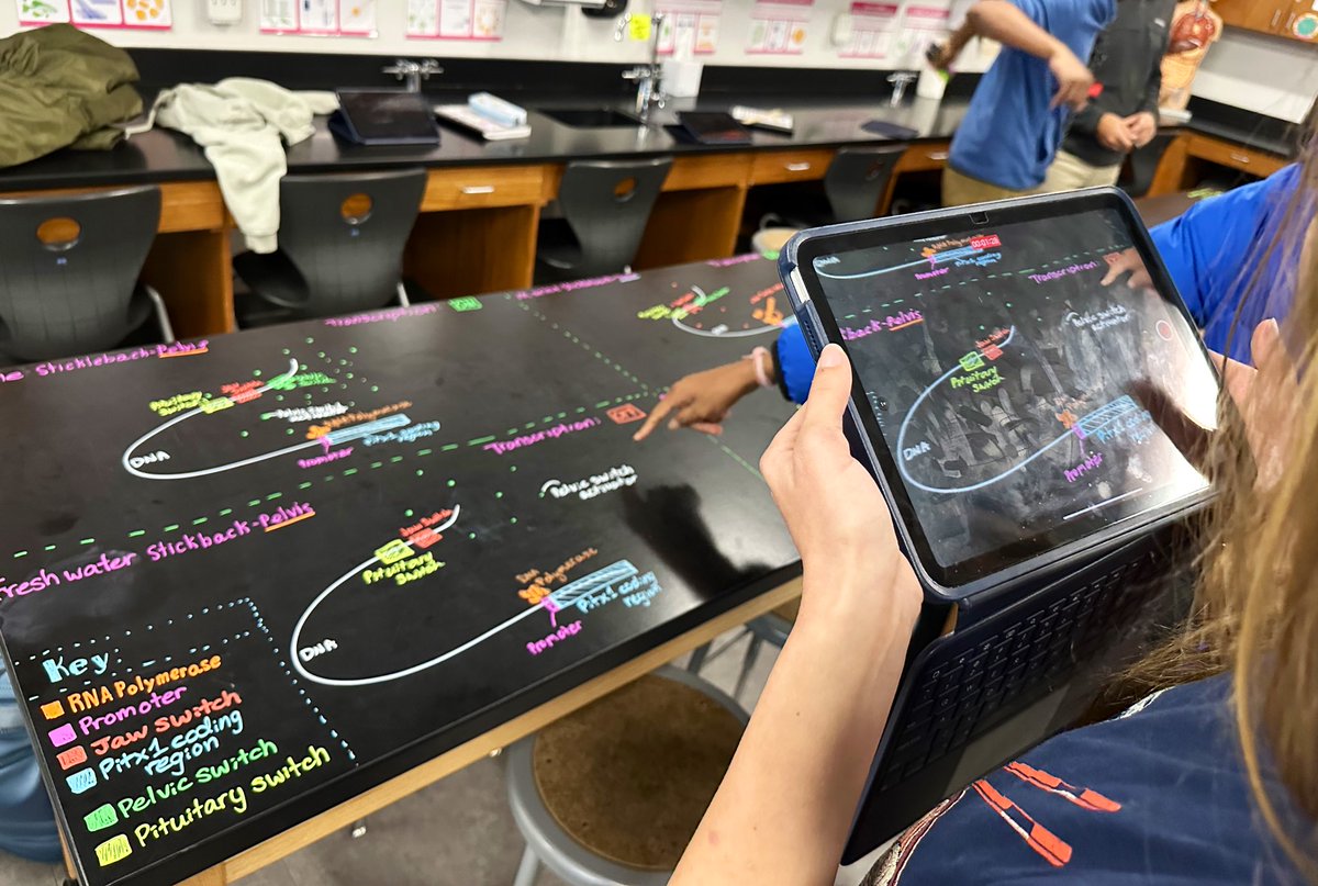 Laronna_D's tweet photo. Explaining how eukaryotic organisms can regulate genes. Students did a great job with a complex problem. @CHS_9 @Doggett_Biology @CISD_Science #chs9family https://t.co/7HYvNdyeJ7