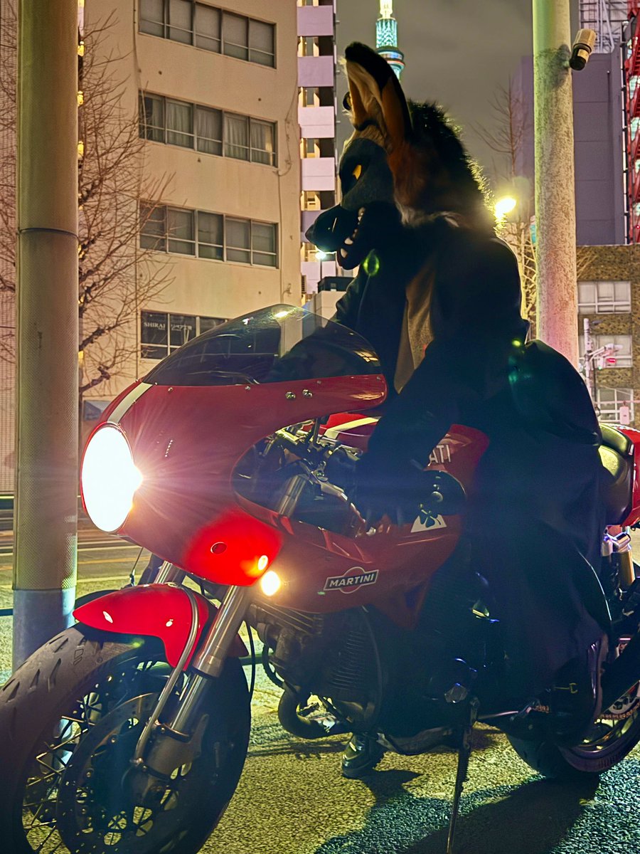 Akira slide into the weekend

#FursuitFriday