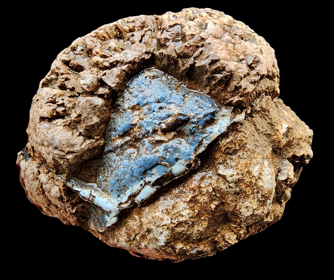 SrlGemstone's tweet photo. Natural uncut thunderegg with blue
#thunderegg #geode #lapidary #uncutagate #lapidaryrough #Collectibles #rocks #Stone #crystals #healingstone #ball #naturalhealing #NatureLovers #geology #mierals #stonecutter https://t.co/wxFVXEQ4P7