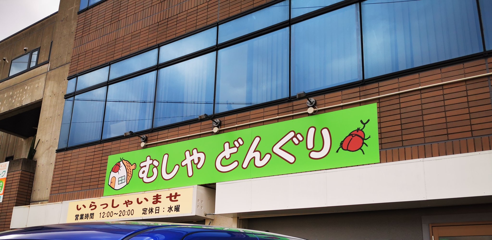 どんぐり　ページ エンスカイ となりのトトロ ペーパーシアター ウッドスタイル