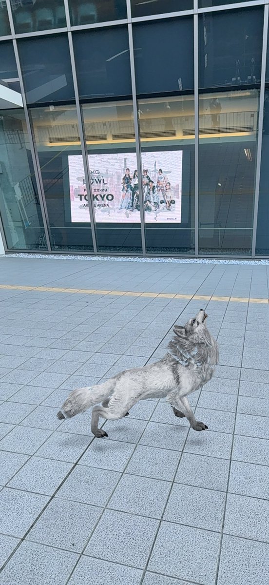 alphaz_eng's tweet photo. awooo🐺

狼を会場に召喚できるアプリ作りました！
一緒に写真撮ったり、記念に写真を撮るなど使っていただけると嬉しいです！🤳

#XG #XGALX #XG_1stWORLDTOUR #XG_1stWORLDTOUR_TOKYO https://t.co/dC4R5JG5zA