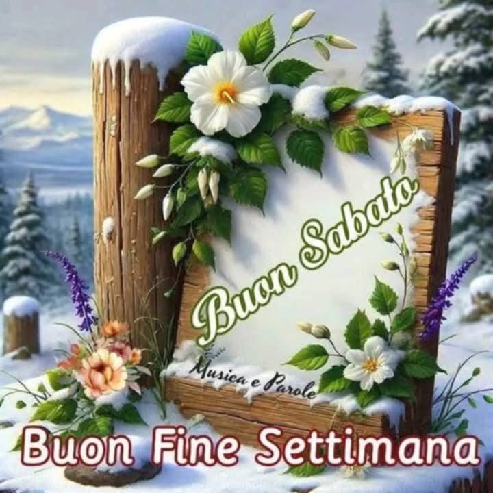 RITABIANCHi56 tweet media