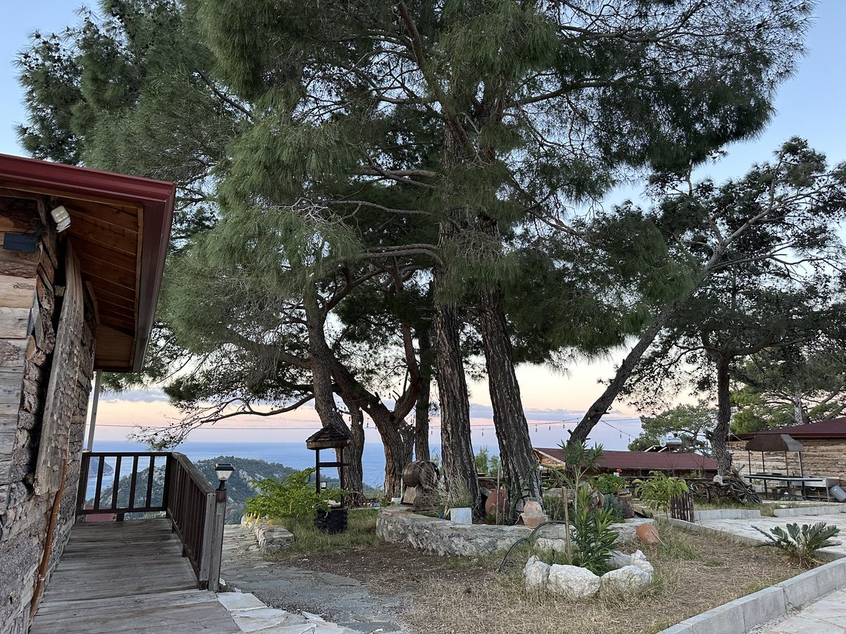 KTreeHouses's tweet photo. Günaydın can dostlarım yellitepeden selamlar Kadirs Eco Life https://t.co/FKodcax3kf