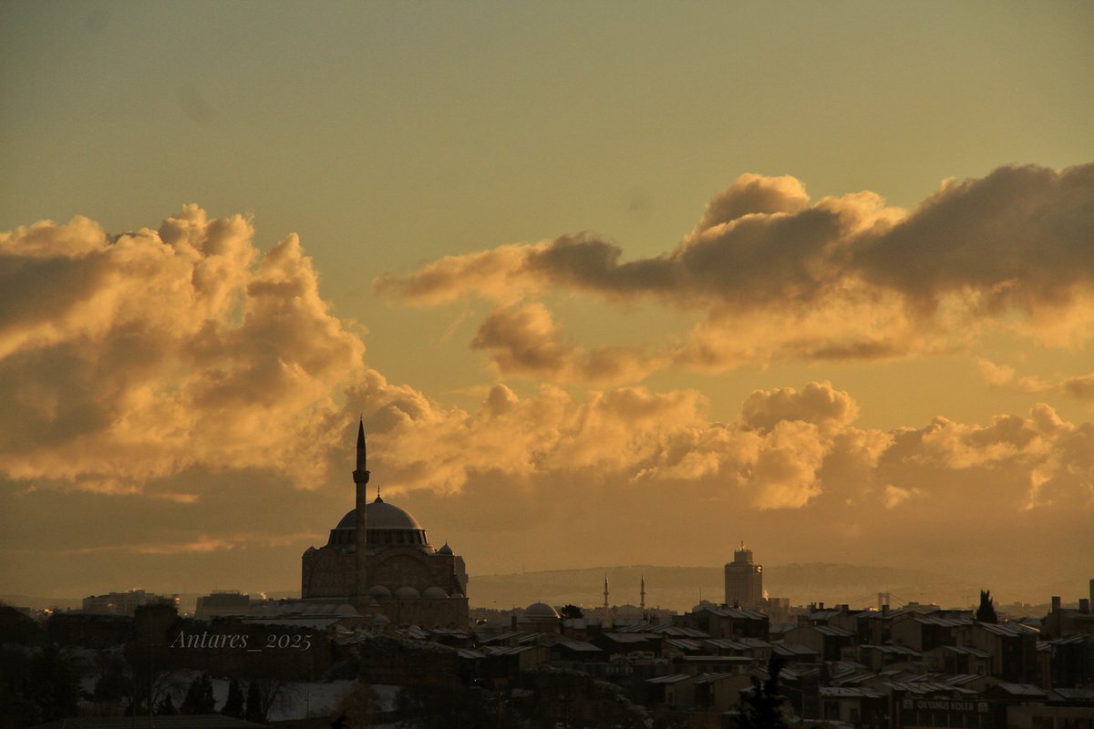 Bu defa üşenmedim, üşümedim de 😏 karlı bir Istanbul sabahı. Kuşlar, kediler, ağaçlar, minareler... GM everyone 😊