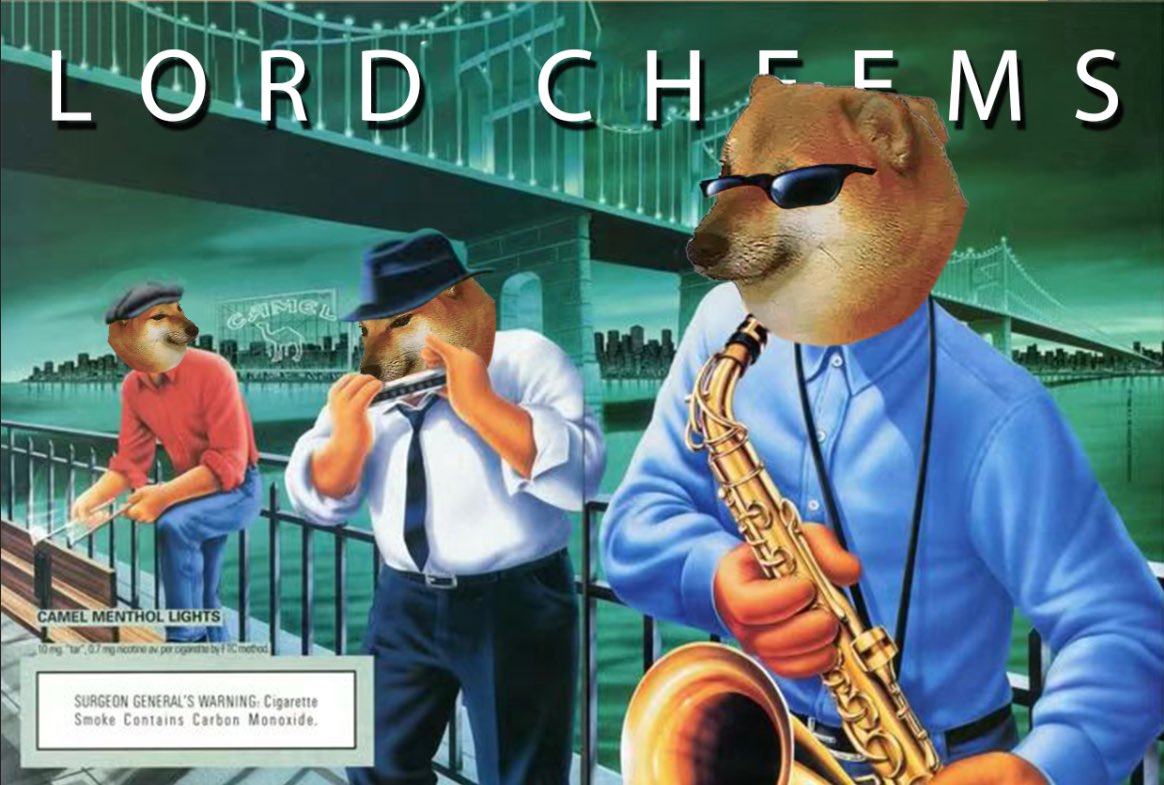 LordCheems_bsc's tweet photo. Lord’s music night 🎶 - DJ Cheems feat Lord Cheems

#CheemsBSC #CheemsArmy $Cheems https://t.co/8Iy9Enzt0q