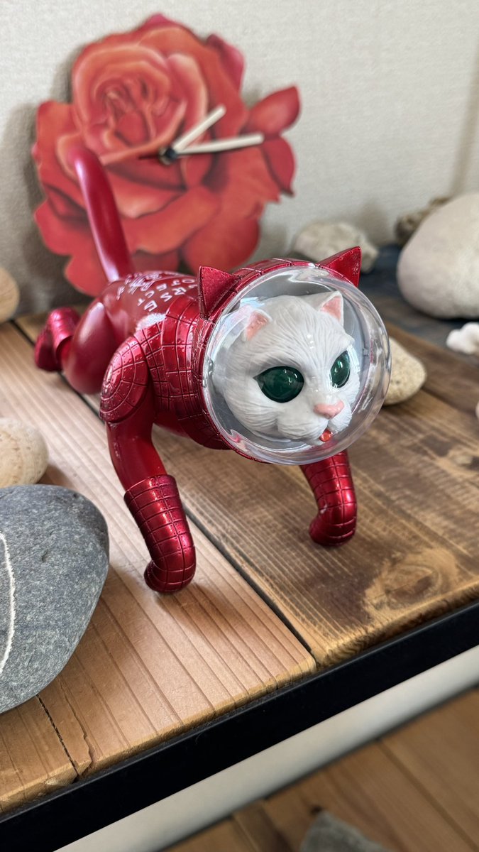 我が家の猫の日はこんな感じ✨
#猫の日