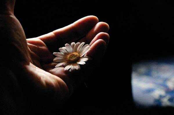 Dailymuhafazaka's tweet photo. "İnsan anladığı ve anlaşıldığı insanda çiçek açar." https://t.co/MTKo71eFP8