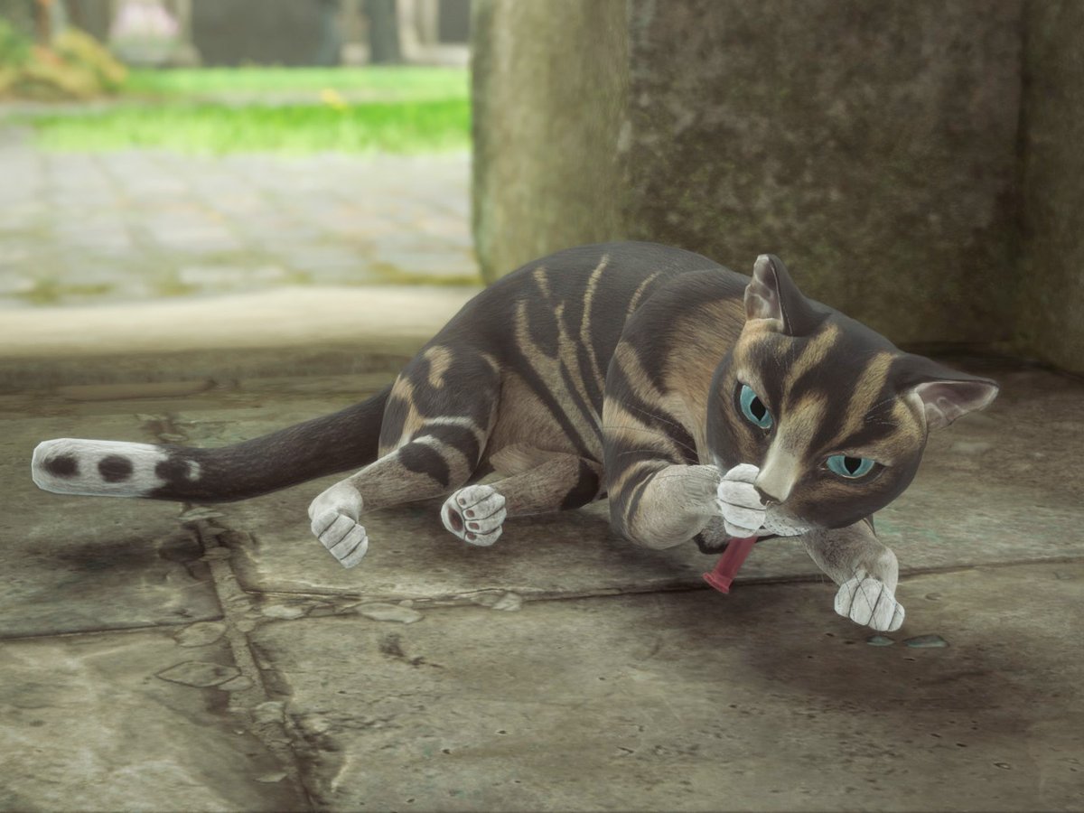 ホグレガの猫ちゃんの舌は長～い😛