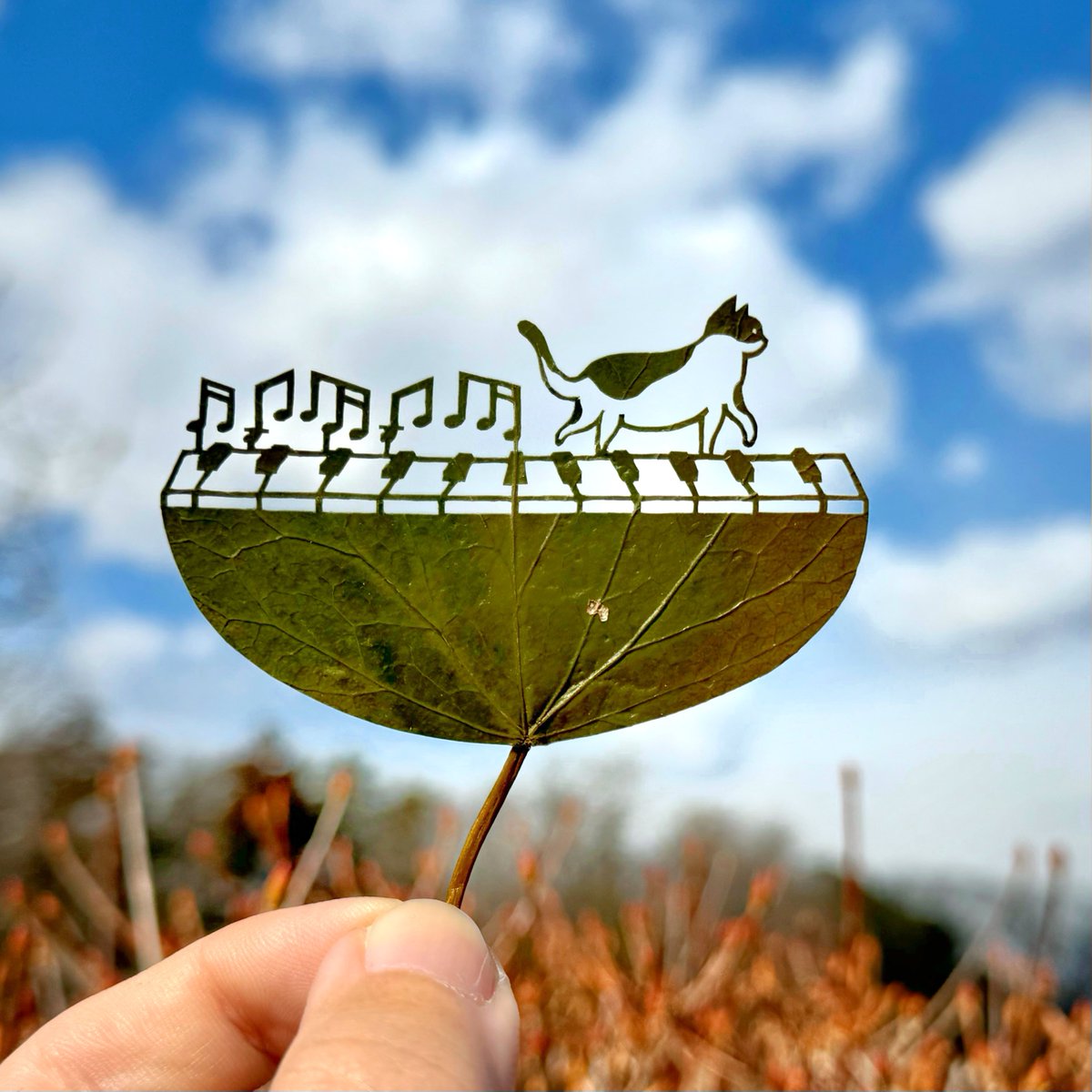 リト@葉っぱ切り絵 tweet media