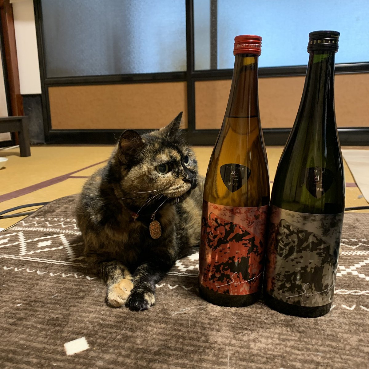 InomataSake1890's tweet photo. 本日は猫の日🐈サビ猫ロックrust note赤&黒発売スタートです！
誕生10周年を記念し、酒質、デザインをフルリニューアルいたしましたー！

1800ml  2970円(税込)
720ml    1760円(税込)  ※2種類同価格です

明治時代に一度幕を下ろした醴山廃酛(あまさけやまはいもと)を復活させ、きょうかい1401酵母と精米歩合60%に統一し、お米違いの味わいをお楽しみ頂けます。乳酸菌由来の���らかな酸味が特徴です。

生まれ変わったサビ猫ロックにあんこさんもご覧の表情😸あなたは赤派？黒派？
赤と黒で全然味わいが違いますので、是非飲み比べてお楽しみ下さい！！

rust note とはrust(錆び)とnote(音符や音階)という意味の造語です。サビ猫の錆び、歌の1番盛り上がる部分を指すサビ、侘び寂びのサビ等を指し、noteは音符や音階を意味すると同時にこれらの精神や魂、お酒への美意識や世界そのものを意味します。

rust noteはサビ猫ロックの存在や在り方、精神世界とも呼べる物になります！

購入できるお店の情報は順次掲載予定です！よろしくお願い致します😼