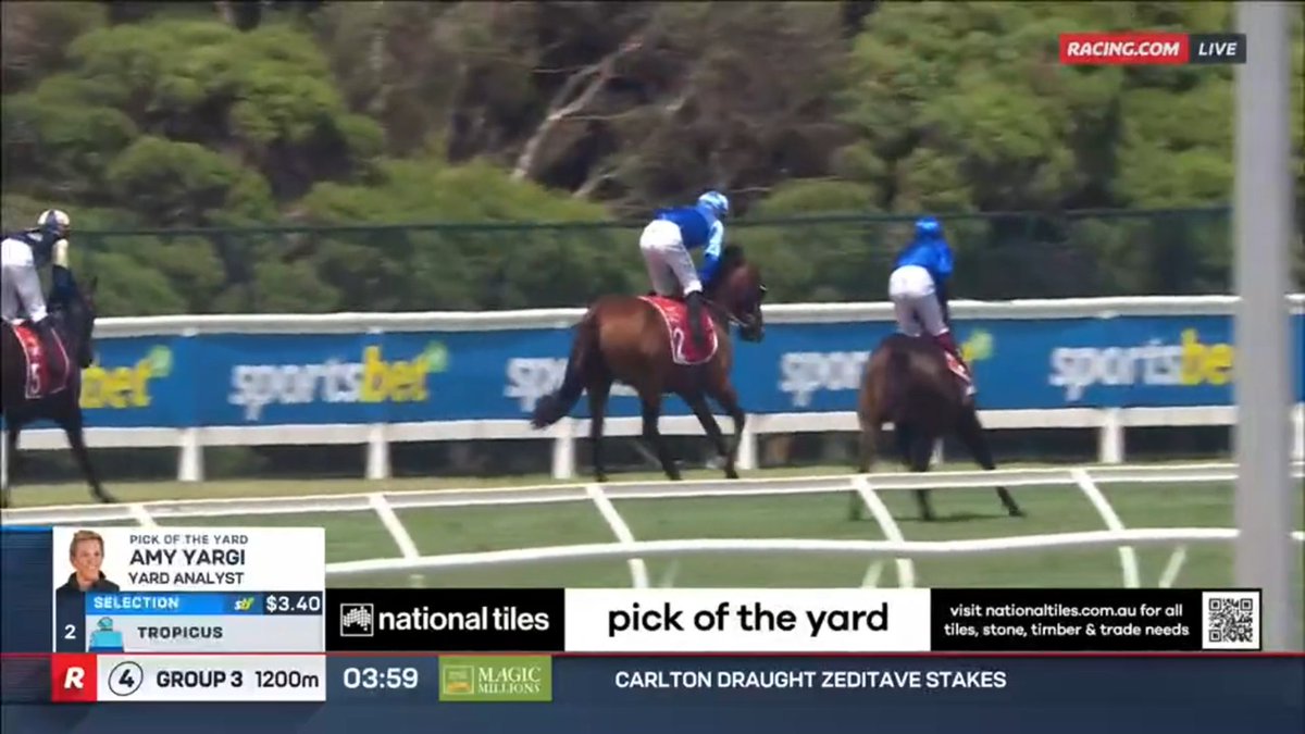 Racing's tweet photo. Tropicus was the #NationalTiles #PickOfTheYard ππ»
@YargiAmy https://t.co/6qZvpjCyMV