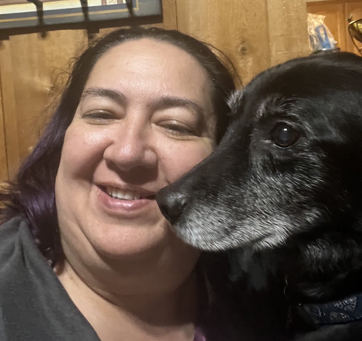 Cassandra O'Connor tweet media