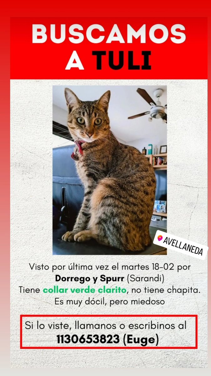 _maruSz's tweet photo. 😿 #Avellaneda https://t.co/c6ZWBmVHC5