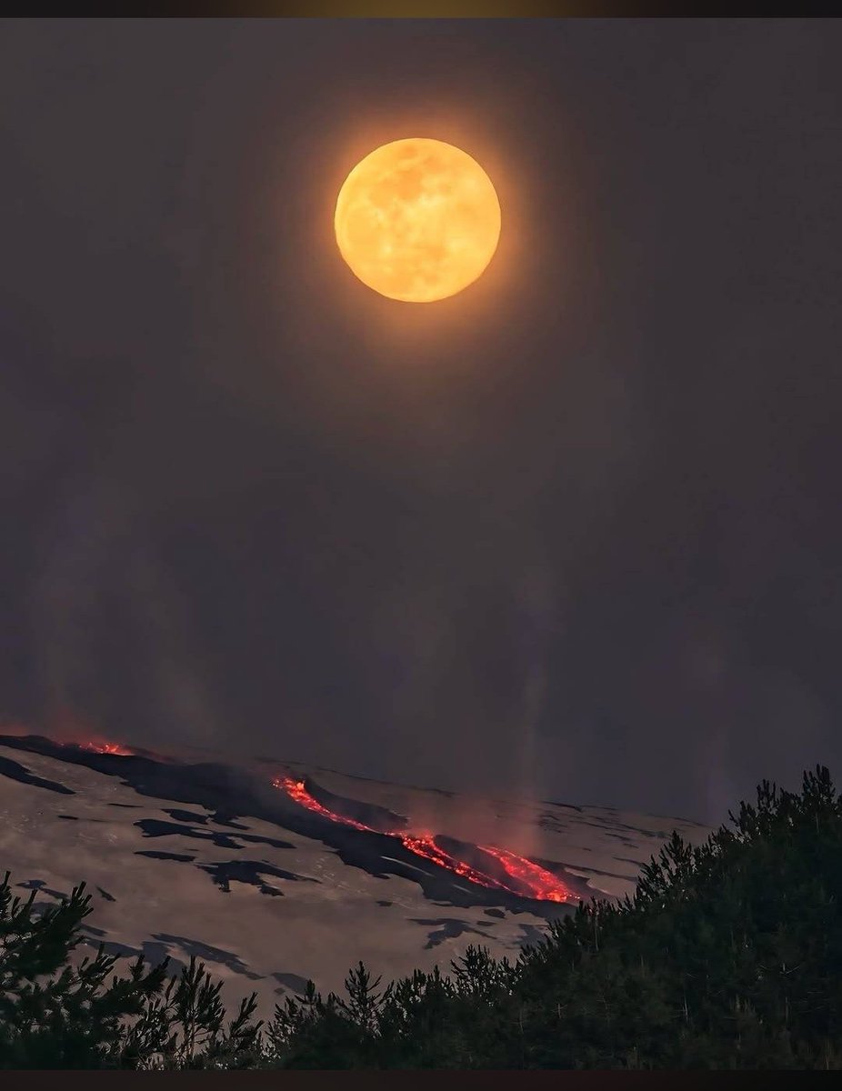 paneelixy's tweet photo. Tell me about your beauty, my moon. https://t.co/7o2bf3E6Sd