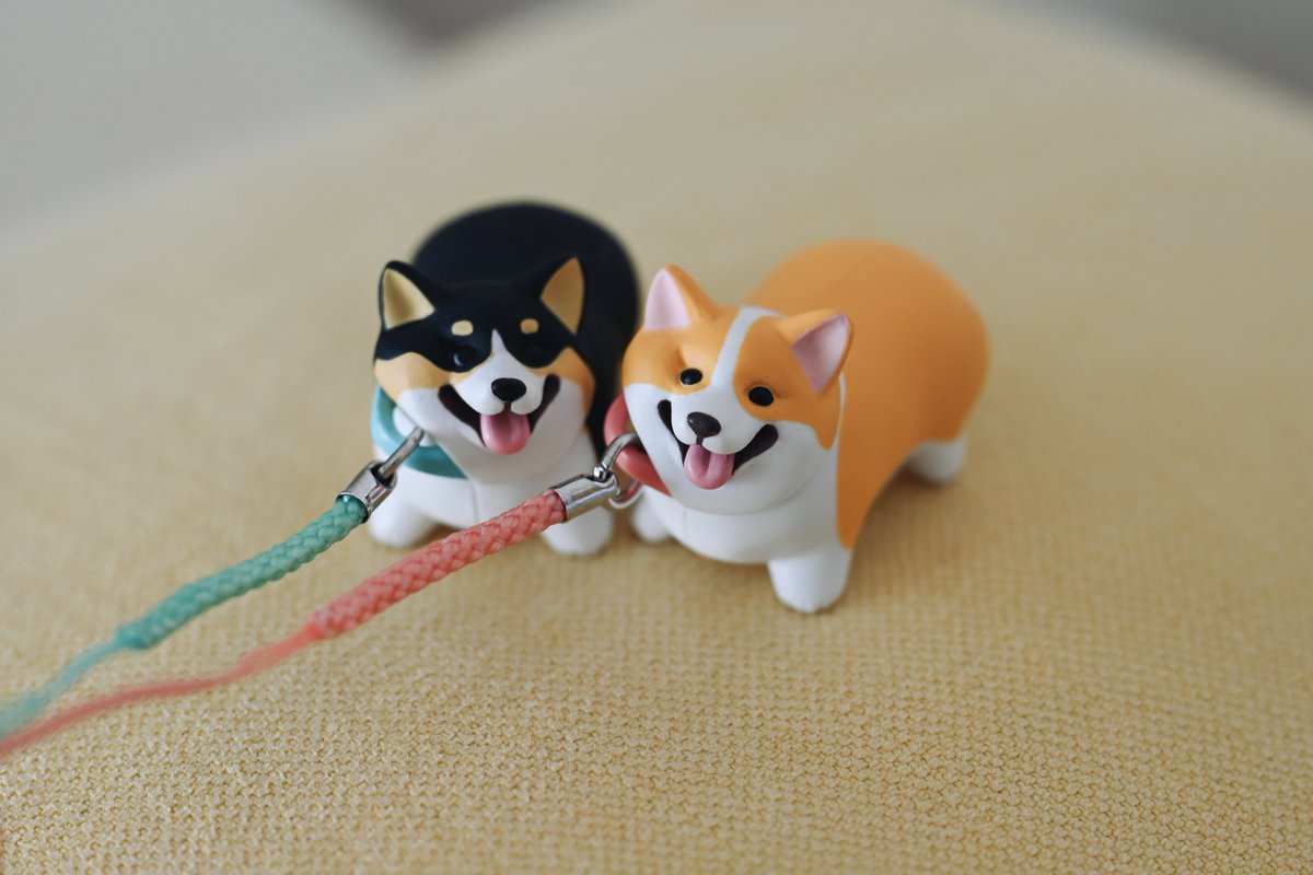 shigemochi_kun's tweet photo. 4月発売のカプセルトイ「こぎさんぽ」のサンプルが届きました！可愛く仕上がってます☺️ https://t.co/GIaMEf5OqB