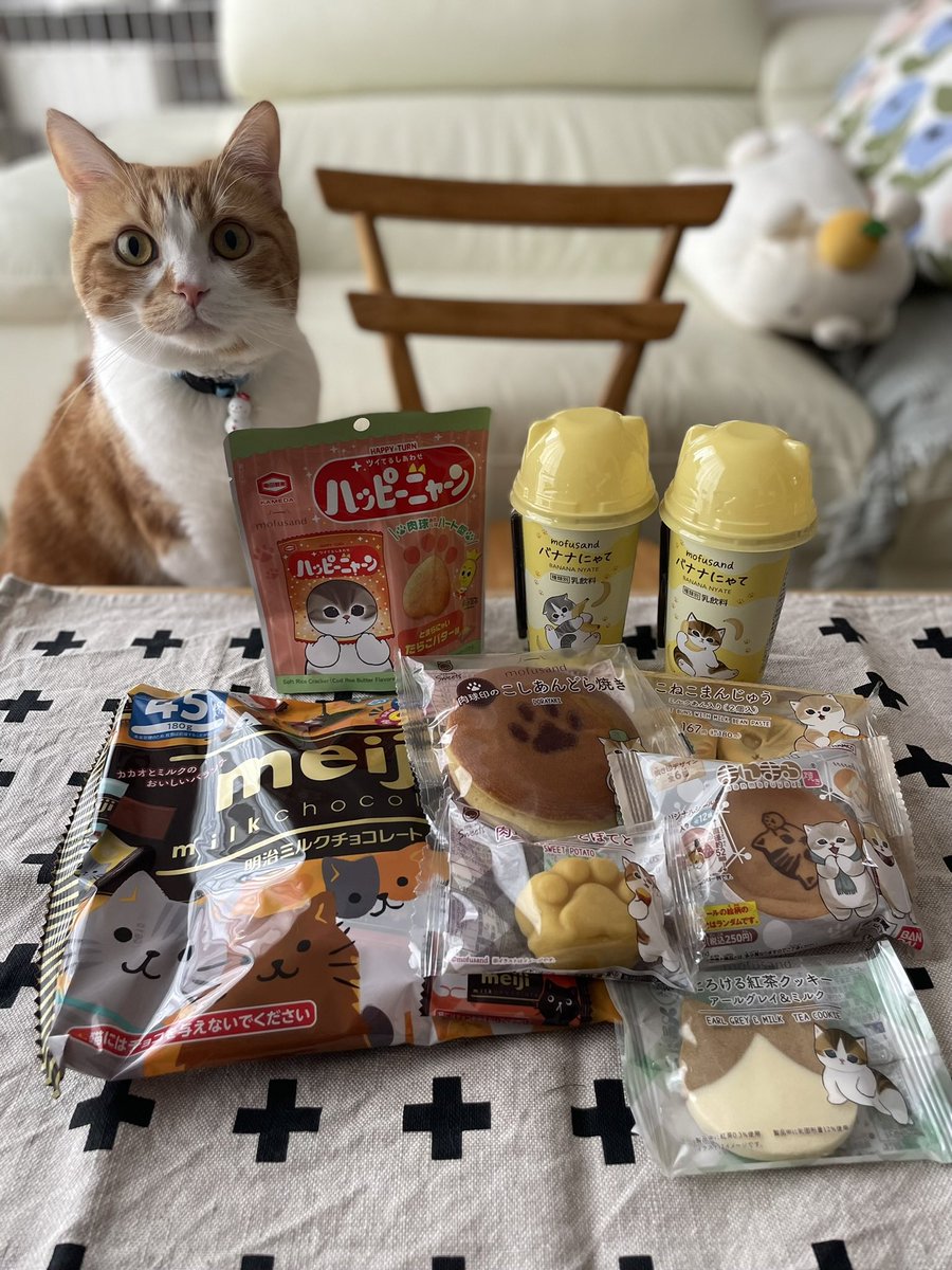 bokusorata's tweet photo. 猫の日はいろいろ浪費しちゃうねー😆 https://t.co/BzmLQUGq5l