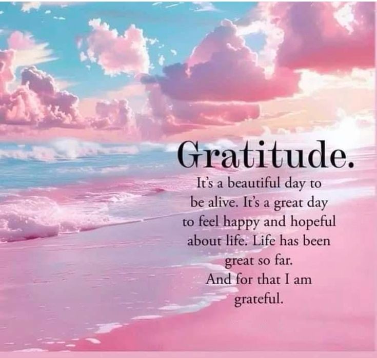 POSITIVITY (@positivitysaid) on Twitter photo 