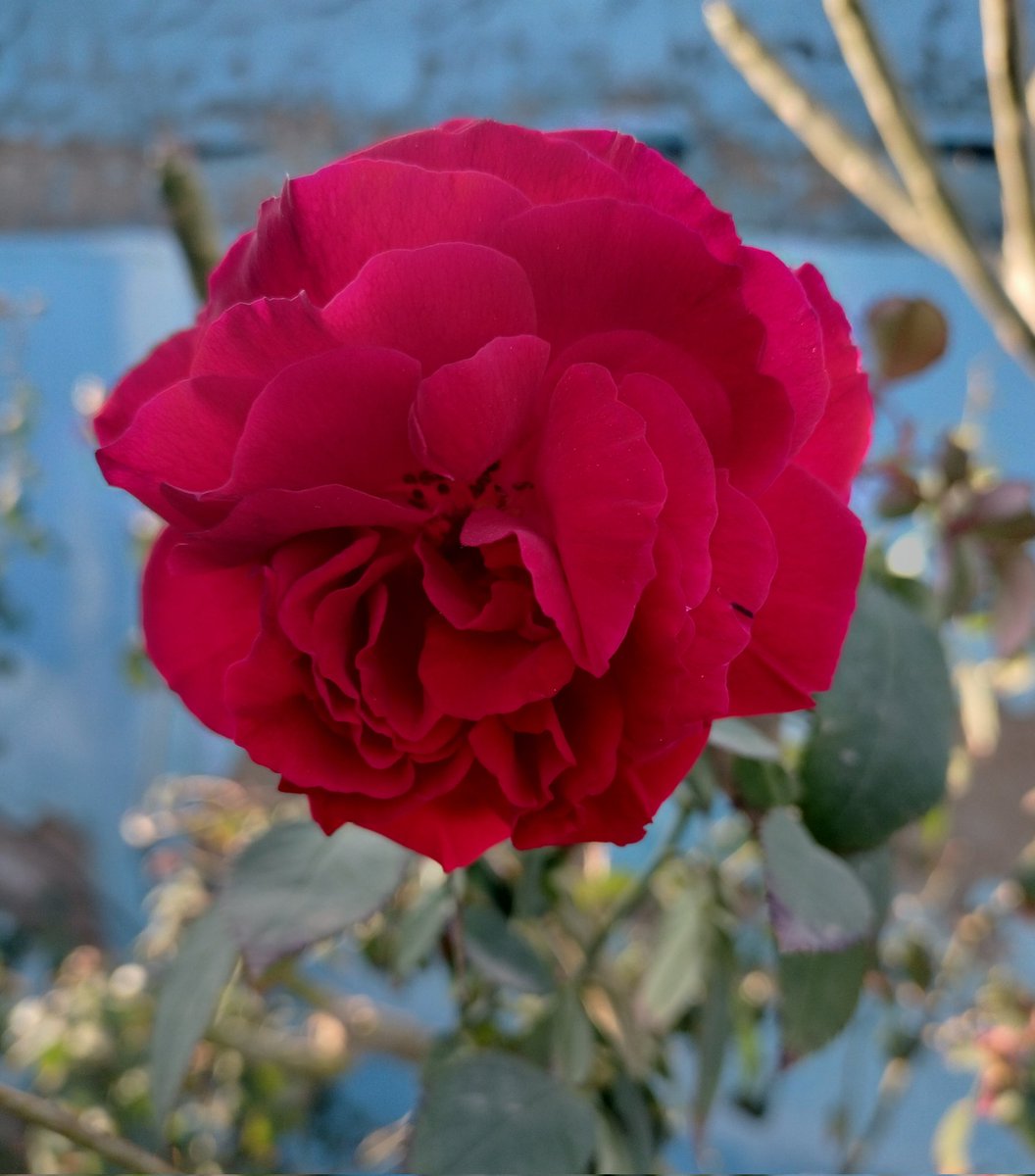 सुप्रभात 🌅 🙏 
शनिदेव और केसरीनंदन हनुमान जी की कृपा से आपके जीवन में खुशहाली हो।
जय शनिदेव 🙏
जय केसरीनंदन 🙏