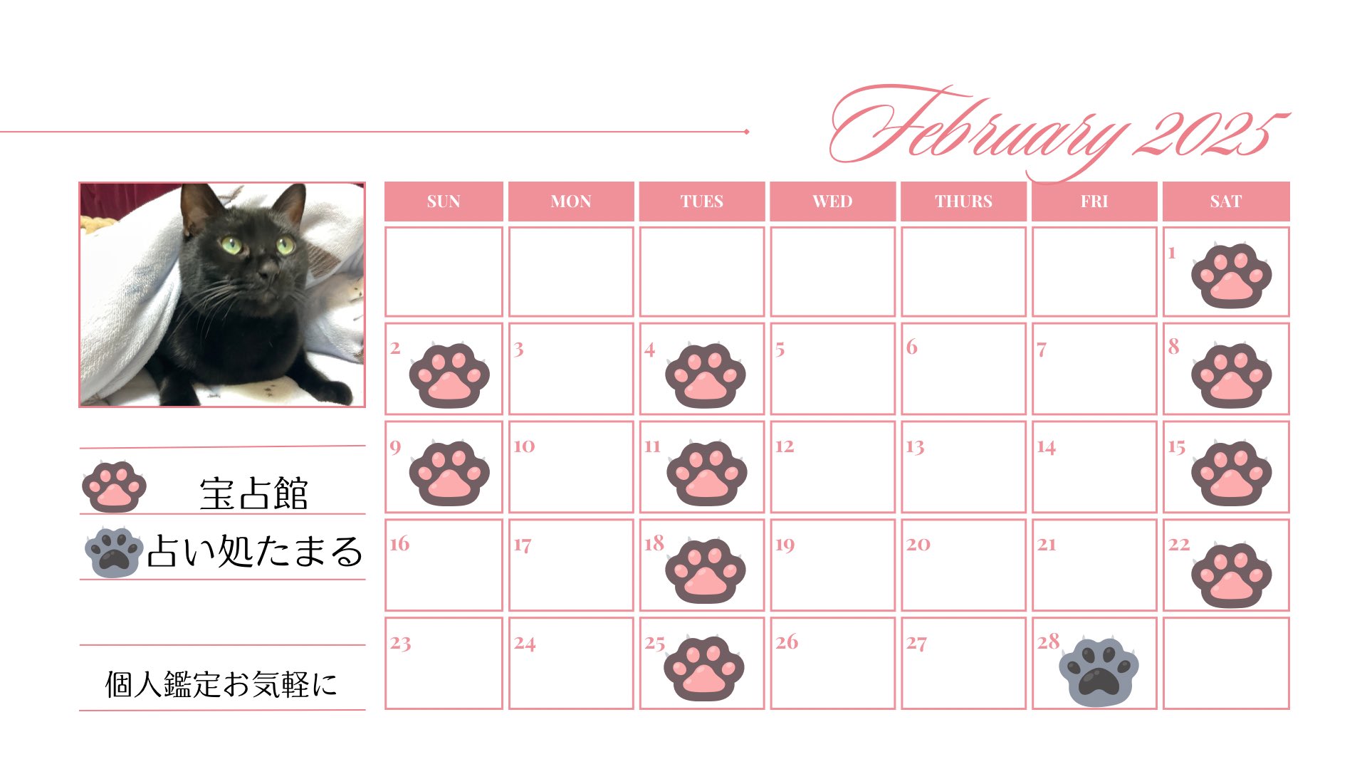 猫🐈‍⬛@占い on X: 