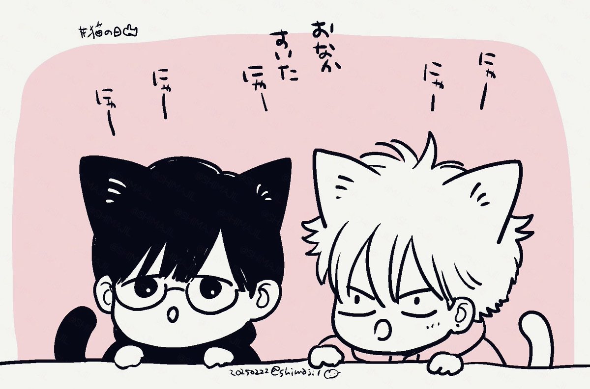 はいはいお昼にしよっか
#みだ猫🐈 #猫の日🐈‍⬛ 