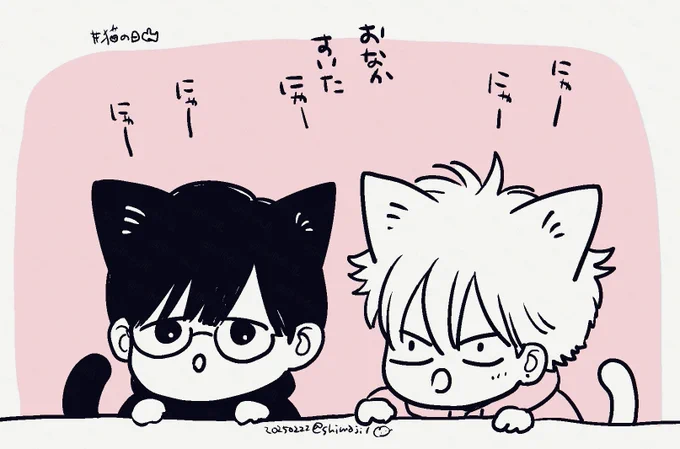 はいはいお昼にしよっか
#みだ猫🐈 #猫の日🐈‍⬛ 