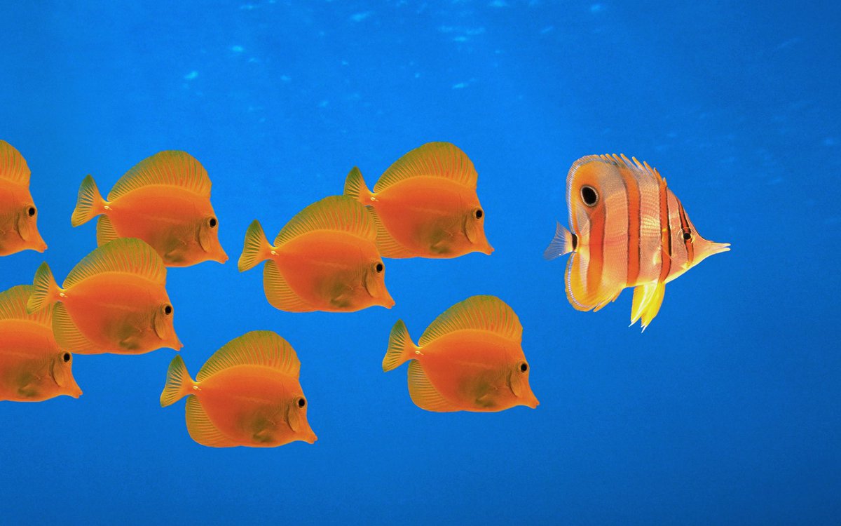 PopCulture2000s's tweet image. Windows XP backgrounds