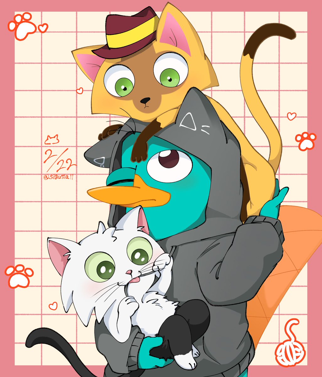 sigumall's tweet image. 2/22🐾