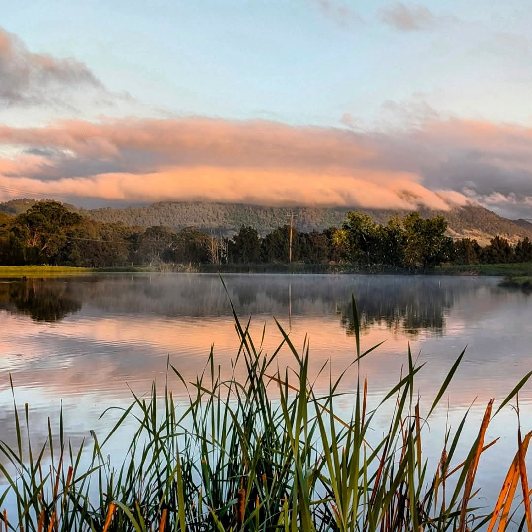 "Mist on the mountain" the view across our farm dam!