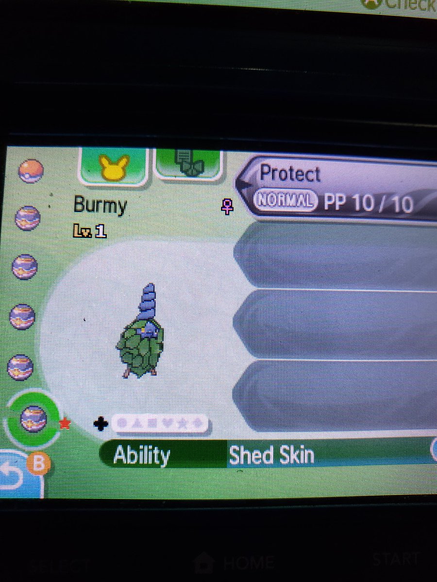 Shiny female Burmy after idk how many eggs. Soon to be Wormadam. Family complete! <a href="/KomodoLord/">Komodo Lord #ShinyMasterDex</a> <a href="/KantoChris/">Chris</a> <a href="/D_Boi408/">ᵈᵃⁿⁿʸ🐒</a> <a href="/D34NTR4P/">Dean 👻</a> <a href="/TeacherTempest/">Tempest</a> <a href="/bulkasaur87/">Bulkasaur87</a> <a href="/Rachel1991Burke/">Shiny Celebi</a> <a href="/JennTansley/">Shining_shadows</a> <a href="/shunyLucario/">shunyLucario</a> <a href="/Blobrex2/">Blobrex</a> <a href="/JediKush831/">JediKush(Rip Honey🐾)🇲🇽🇬🇺🧩</a> <a href="/SolarVanguard/">✨Solar Vanguard✨</a> <a href="/leafgamess_/">leafgamess 🎮🍂</a>
