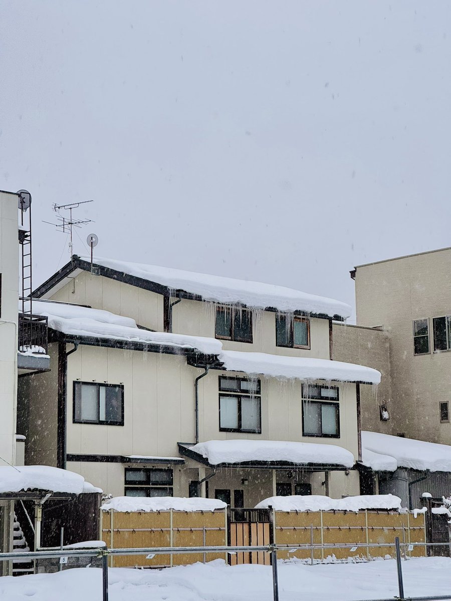 znh66's tweet photo. 雪は降り続く https://t.co/FeYdJRvHuN