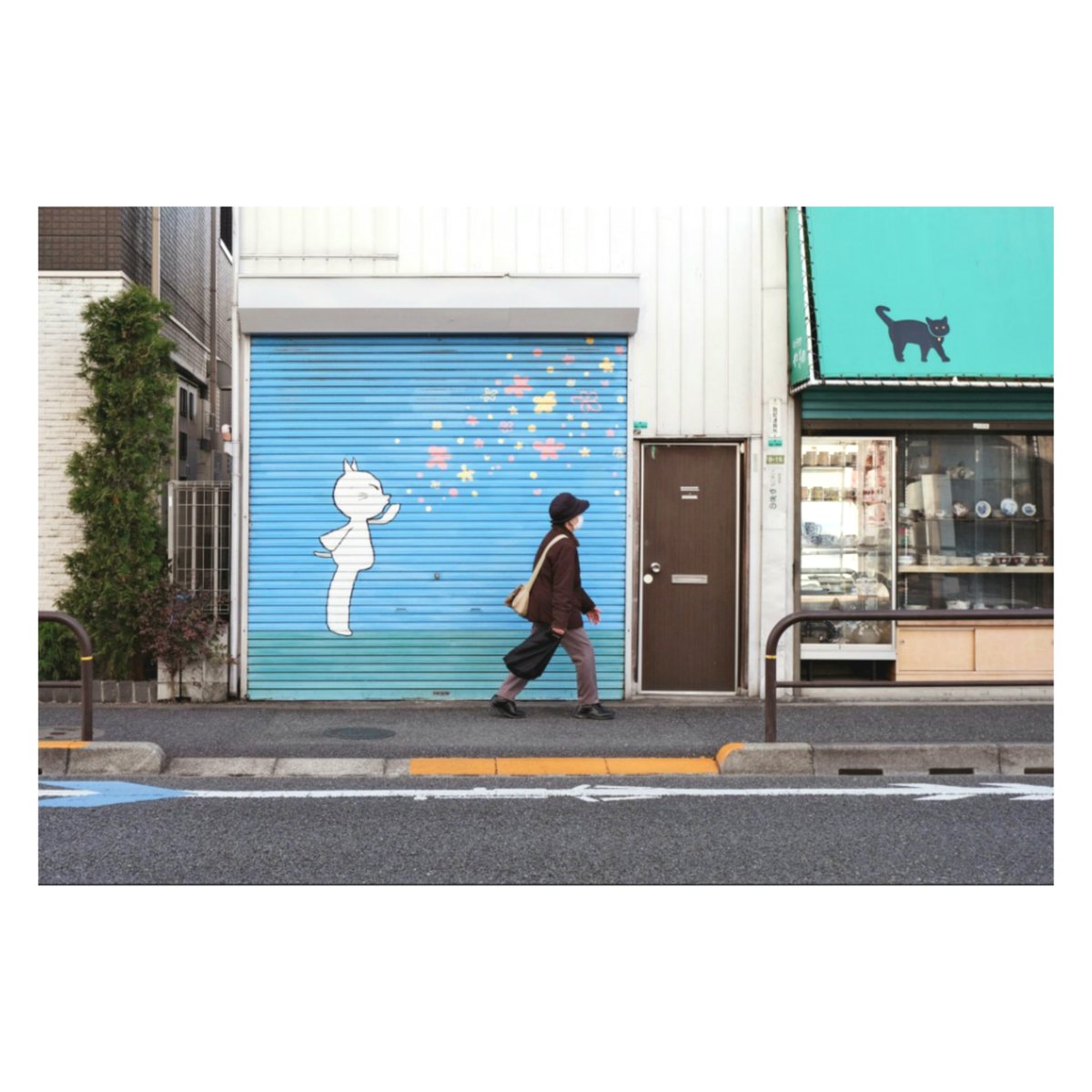 sakuyashirono's tweet photo. #猫の日 https://t.co/68HZ4xFKPz