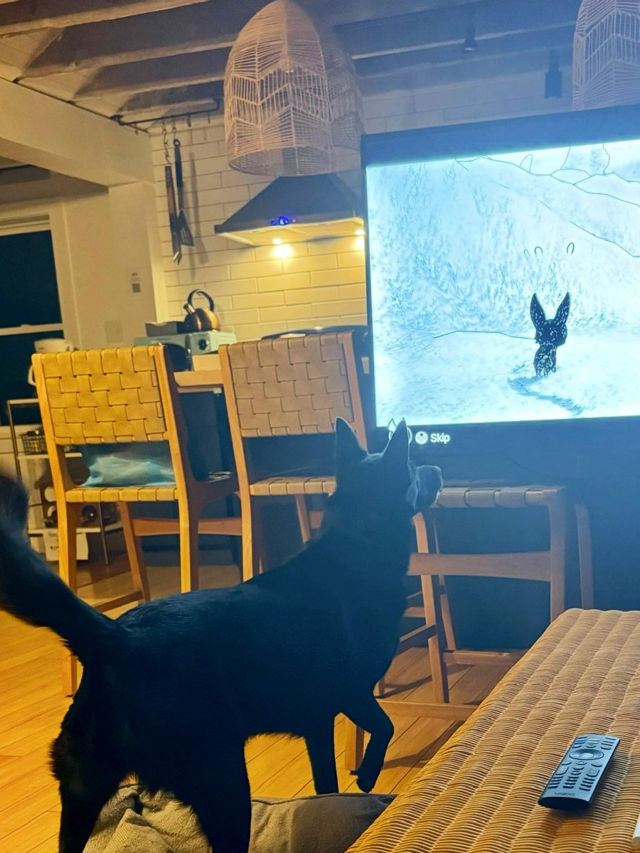1LuckyJon3's tweet photo. Had the pleasure to play @BlancTheGame with my wife and our very own “wolf” pup, Nyx. It was an incredible game with a lovely story - perfect for a cozy night! https://t.co/7pBdL9XPSG