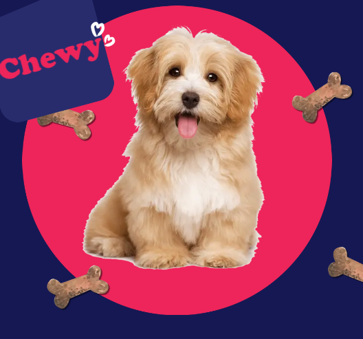 GreatClipCanada's tweet photo. 20% Off Chewy Coupons &amp; Promo Codes March 2025
Treat your pets to the best and receive a complimentary $20 eGift card 🐶WELCOME🐶Shop and save now for the best Chewy promo codes😍🤩

#Chewypromocodes #ChewyCouponCodes #ChewyCodes2025 #ChewyCouponCodes

Hurry up Friends! 🎊 https://t.co/4LEHA2fzZw